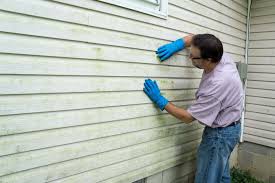 Best Historical Building Siding Restoration  in Atascocita, TX